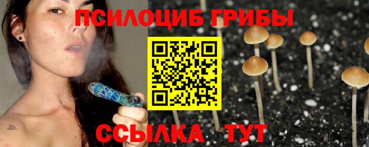Галлюциногенные грибы мицелий  Вход с VPN  Псилоцибиновые грибы Psilocybine cubensis  Урус-Мартан 